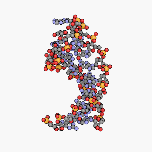 MicroRNA GIF