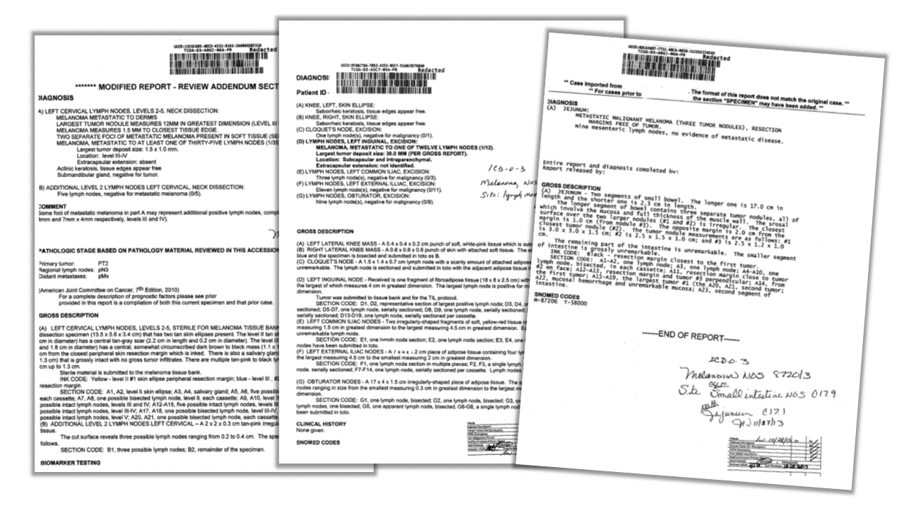 Pathology report with AI-generated structured summary